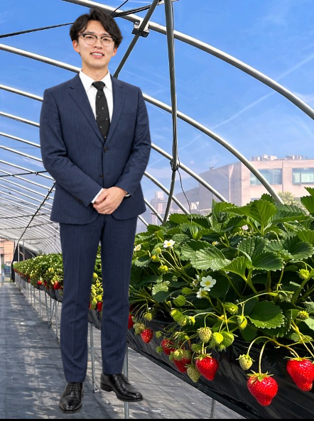 Yuya Mochizuki in the strawberry greenhouse